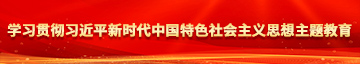 疼,啊,视频淫荡学习贯彻习近平新时代中国特色社会主义思想主题教育